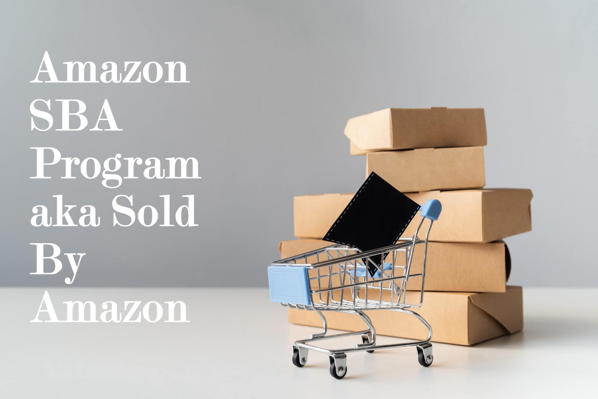 Amazon SBA Program (aka Sold by Amazon Program) - Is It Worth Your Investment in 2024?